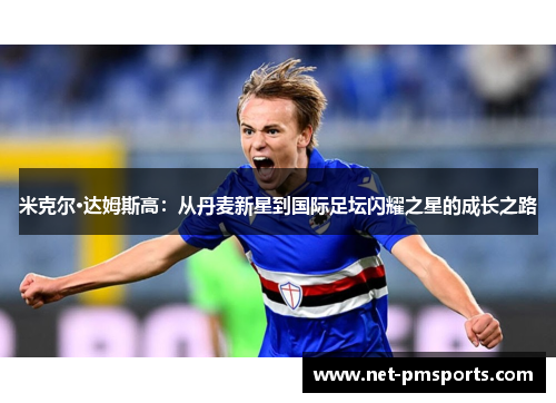 米克尔·达姆斯高：从丹麦新星到国际足坛闪耀之星的成长之路