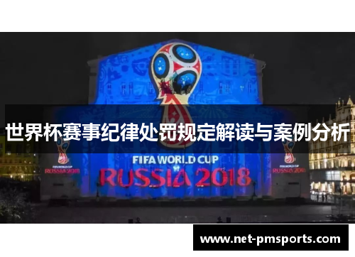 世界杯赛事纪律处罚规定解读与案例分析