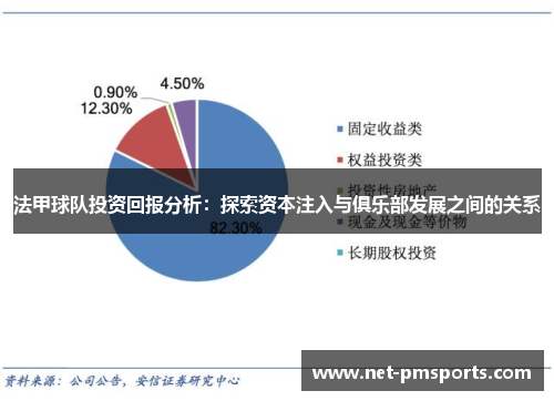 法甲球队投资回报分析：探索资本注入与俱乐部发展之间的关系