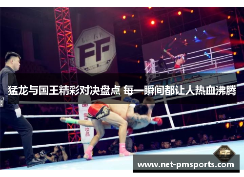 猛龙与国王精彩对决盘点 每一瞬间都让人热血沸腾