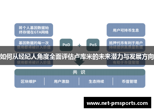 如何从经纪人角度全面评估卢库米的未来潜力与发展方向