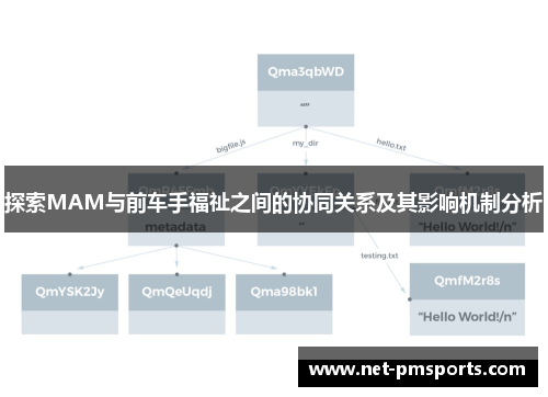 探索MAM与前车手福祉之间的协同关系及其影响机制分析