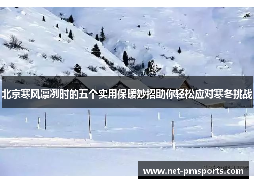 北京寒风凛冽时的五个实用保暖妙招助你轻松应对寒冬挑战