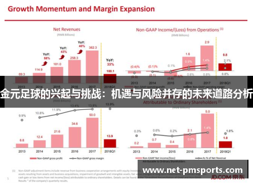 金元足球的兴起与挑战：机遇与风险并存的未来道路分析