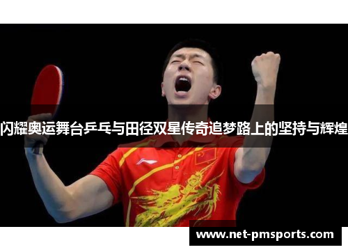 闪耀奥运舞台乒乓与田径双星传奇追梦路上的坚持与辉煌