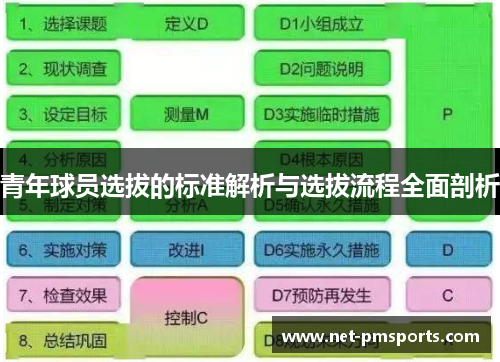 青年球员选拔的标准解析与选拔流程全面剖析