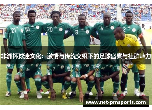 非洲杯球迷文化：激情与传统交织下的足球盛宴与社群魅力